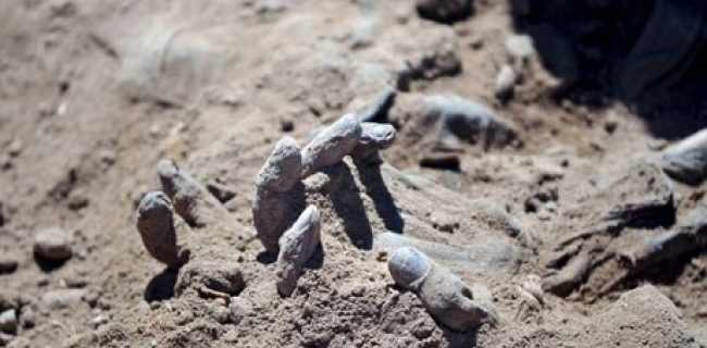  15 decomposed bodies found in southern Mosul well