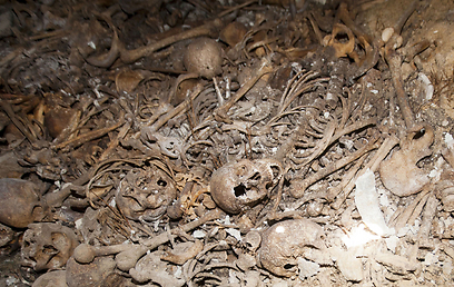  Mass graves of Islamic State victims discovered in Anbar