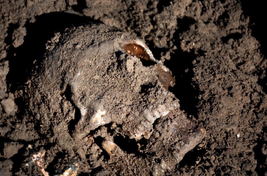  Another mass grave found at a road southeast of Kirkuk