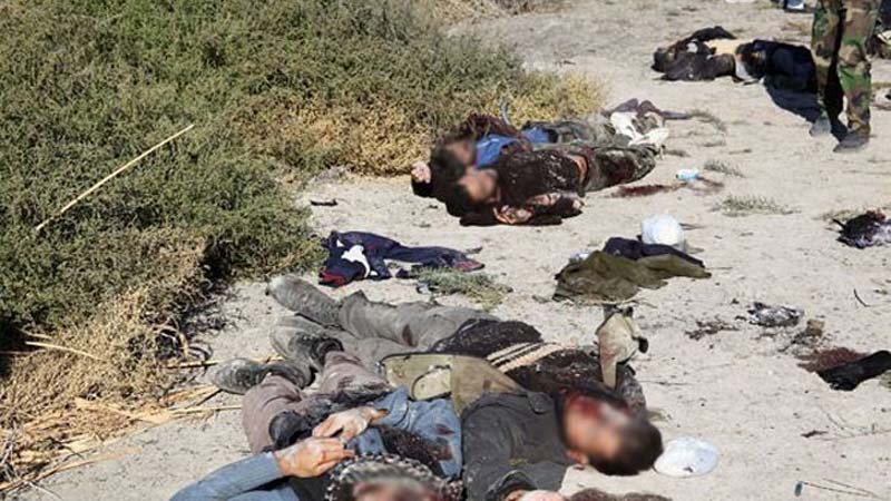  Jazeera Operations announce killing 35 ISIS members west of Ramadi