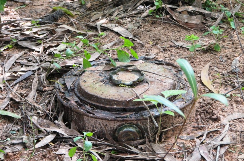  Millions of square meters contaminated with cluster bombs in Muthanna