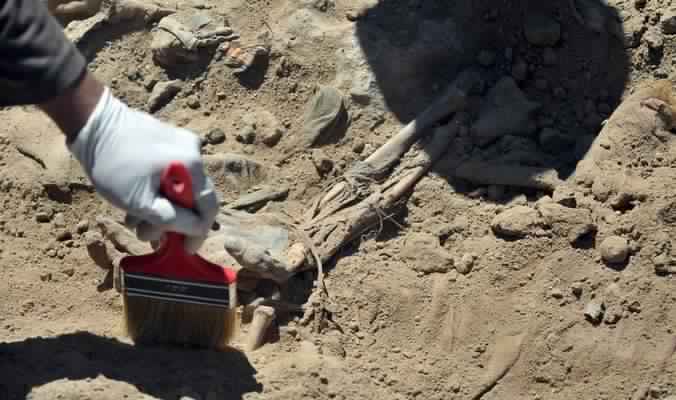  Mass grave with relics of 50 people found in Nineveh’s Sinjar