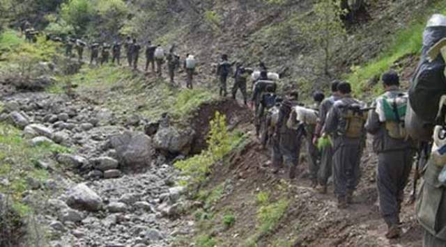  Turkish airstrikes destroy large agricultural area on Kurdistan borders