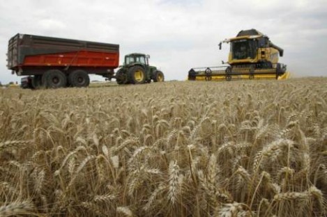  Iraqi bids to buy wheat  –  rice