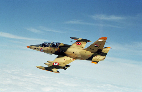  WMC: Iraqi Air Force airstrikes kill several IS officials in Qaim, Anbar