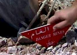 MoE detonates 17,000 mines in Wassit province