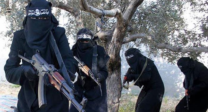  17 Saudi women involved in ISIS file, lured to conflict zones