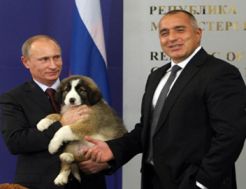 Putin presents Russian "cat" in response to Japanese "puppy"