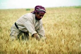  Receiving (163, 000) tons of wheat, (32, 000) tons barley within 10 days