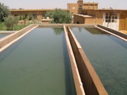 Works suspended at water complex in Babel