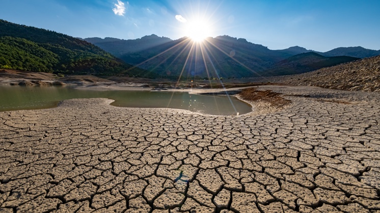  Cabinet General Secretariat announces national initiative to plant Iraqi deserts