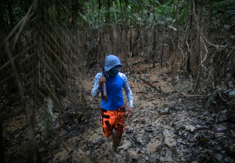  Indigenous team scours remote Amazon for missing Phillips and Pereira