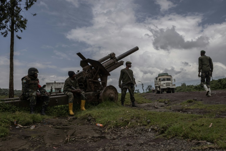  Thousands in anti-Rwanda rally in eastern DR Congo city