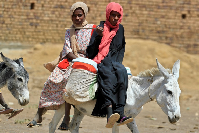  Sudan wheat harvest waits to rot as hunger crisis looms