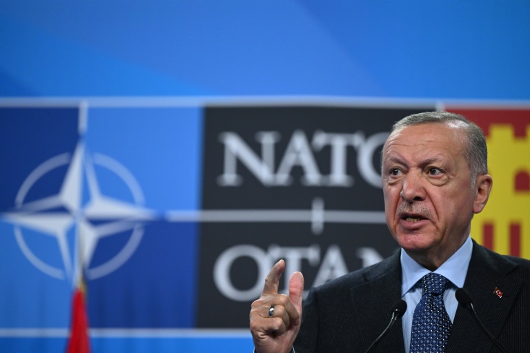  Erdogan warns Turkey may still block Nordic NATO drive