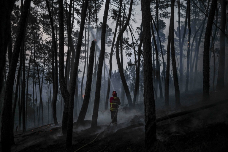  Portugal battles forest fires amid heatwave