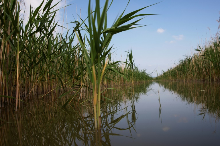  Austria and Hungary fight nature to stop lake vanishing