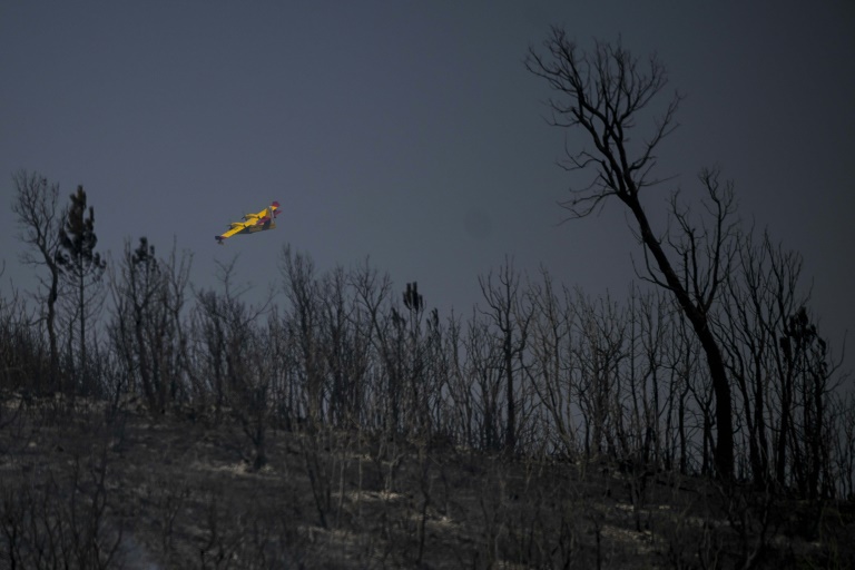  Western Europe wilts under fresh heatwave