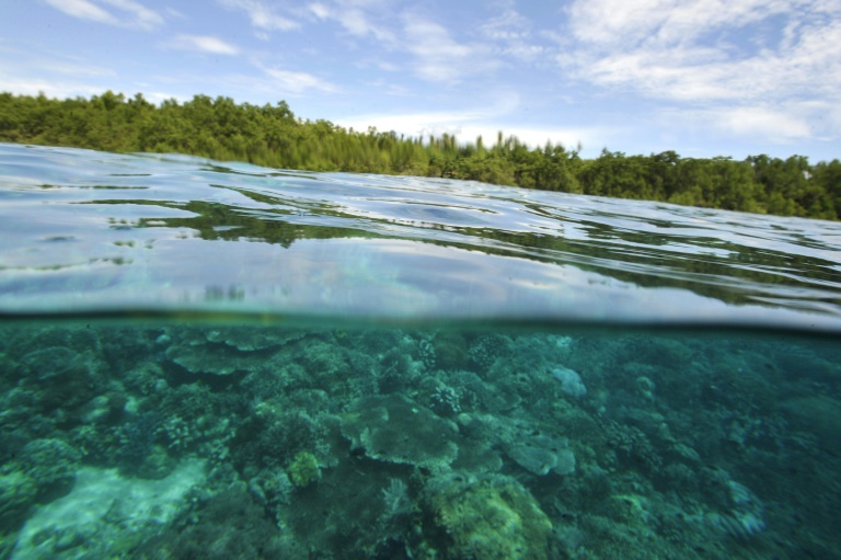  Indonesian islanders sue cement giant Holcim over climate damage