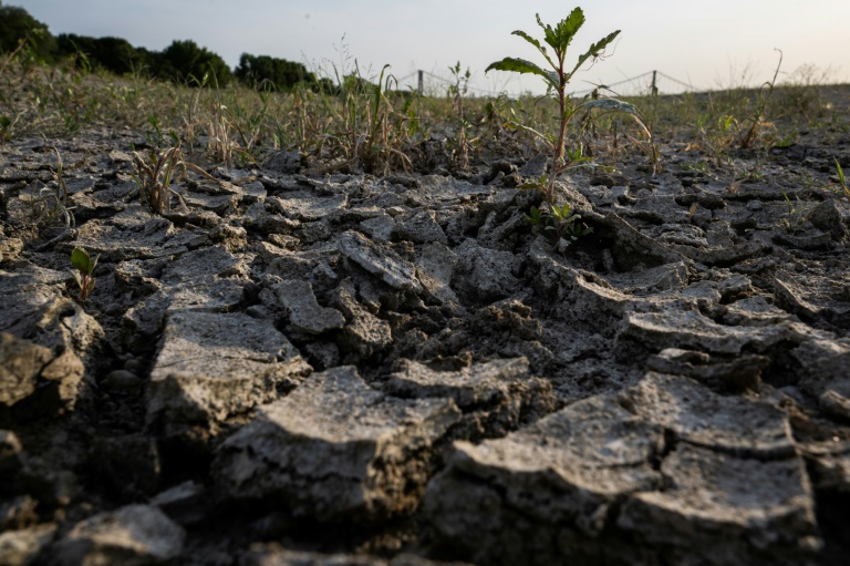  Climate change’s fingerprints on ever hotter heatwaves