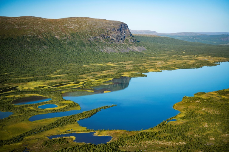  Faster growth may help bacteria remove lake plastic waste: study