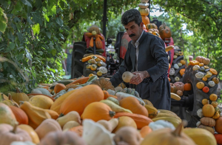  Iraqi Kurdish farmer advocates green awareness in Iraq