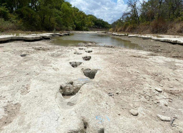  Drought uncovers dinosaur tracks in US park