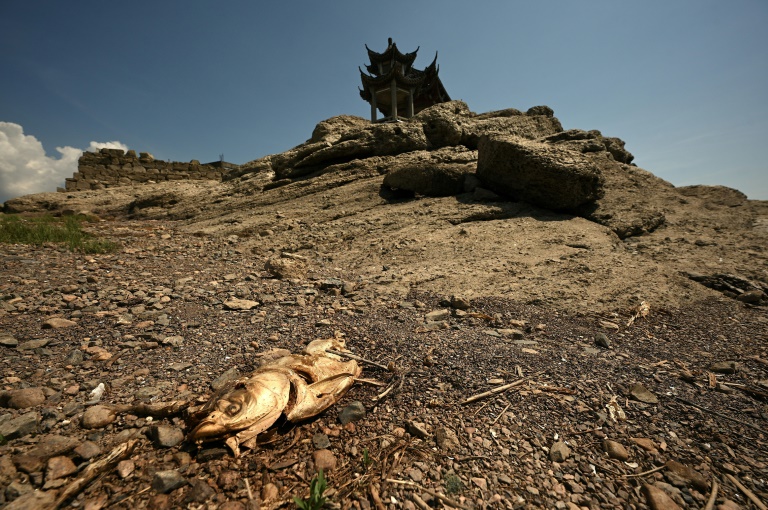  China warns of ‘severe threat’ to harvest from worst heatwave on record