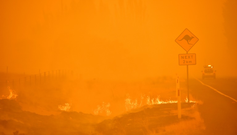  Australia’s ‘Black Summer’ fires affected ozone layer: study