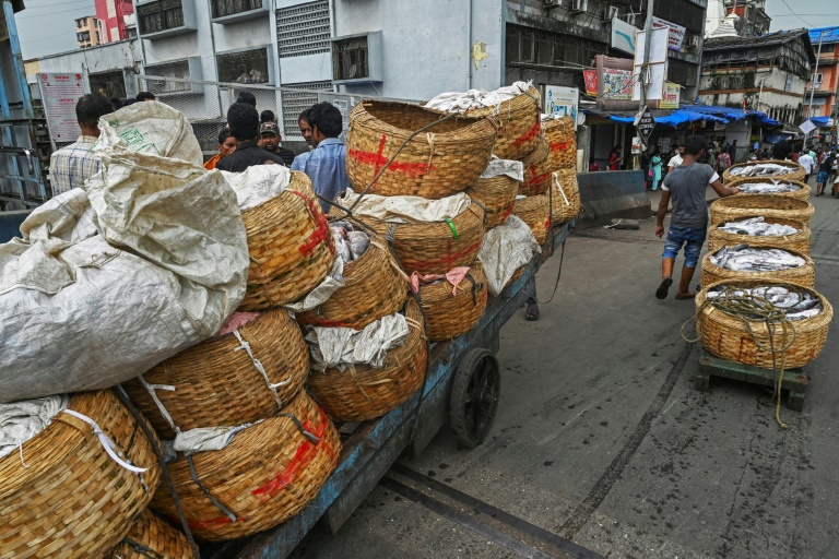  India GDP surges 13.5% on pandemic rebound, despite headwinds