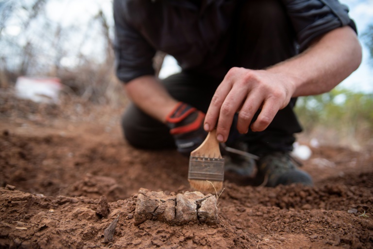  Africa’s oldest dinosaur found in Zimbabwe