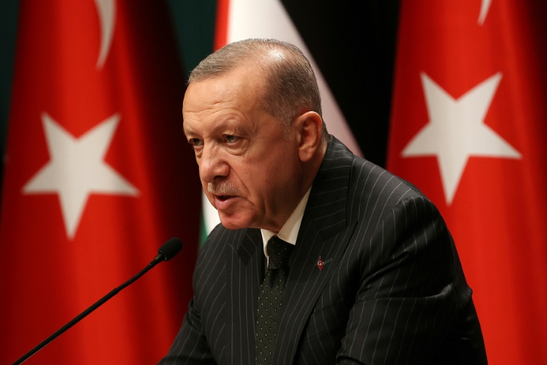  Erdogan challenges Greece over airspace violations