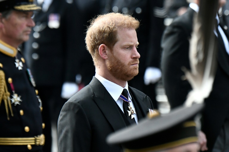  Prince Harry launches legal action against UK media group