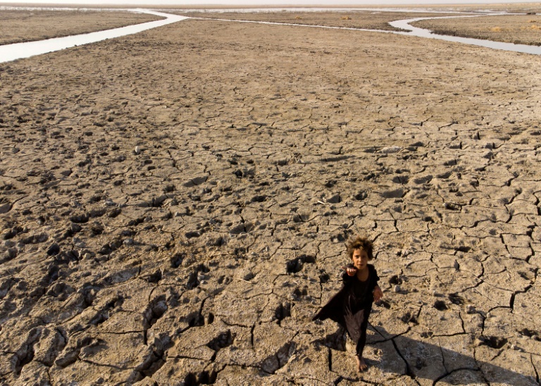  Over 1,000 families displaced in southern Iraq due to drought