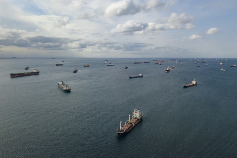  Ukraine grain ships stuck in Istanbul traffic jam