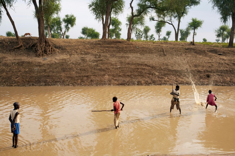  1.4 million children malnourished in South Sudan: charity