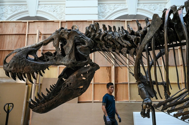  T-rex in Singapore as experts decry ‘harmful’ auctions