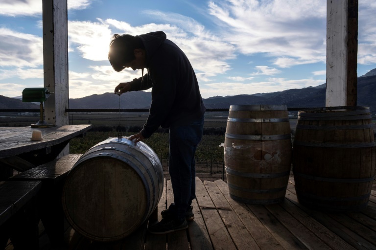  Tourist influx raises fears for Mexico’s wine heartland