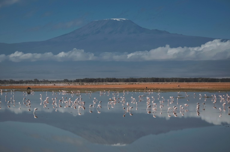  Yellowstone, Kilimanjaro glaciers among those set to vanish by 2050: UNESCO