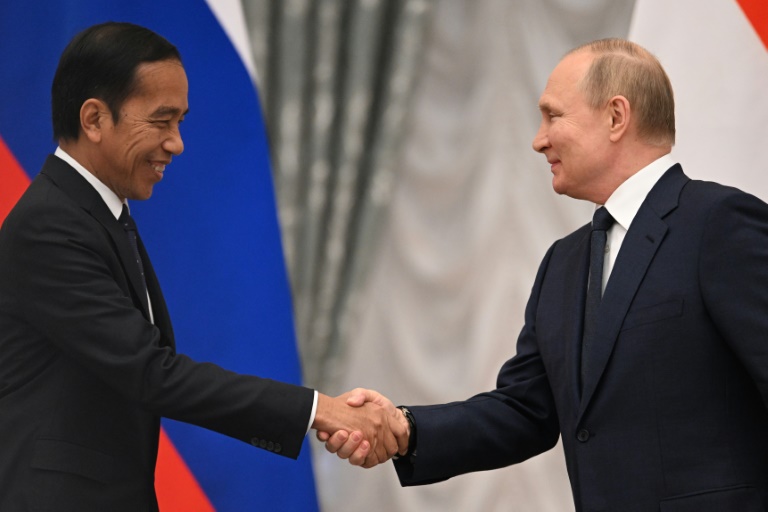  Indonesia leader says Putin undecided on G20 summit invite: report