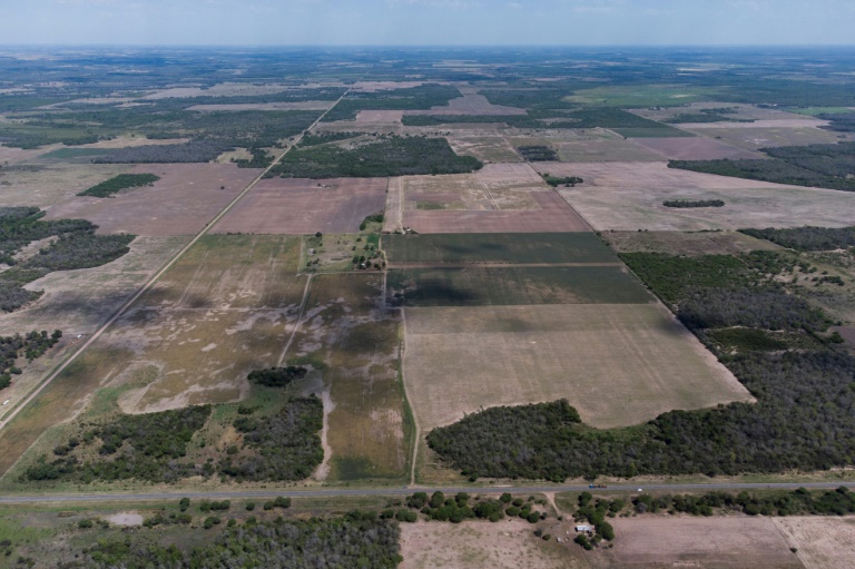  Colonists nibble at Gran Chaco, South America’s other big forest