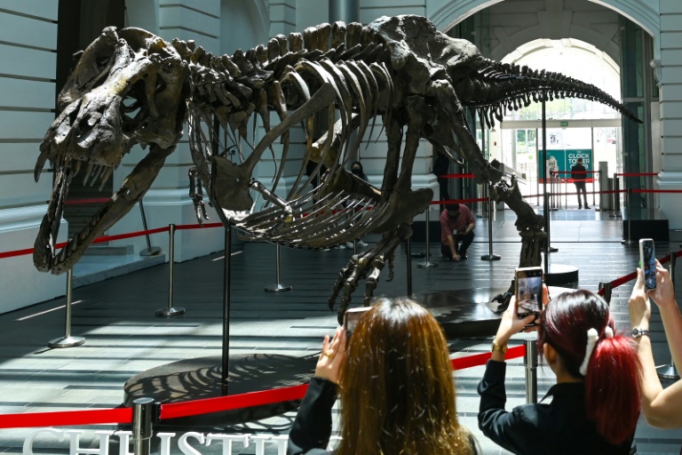  Christie’s cancels controversial T-rex auction in Hong Kong