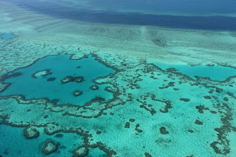  Australia falls short in Great Barrier Reef efforts: experts