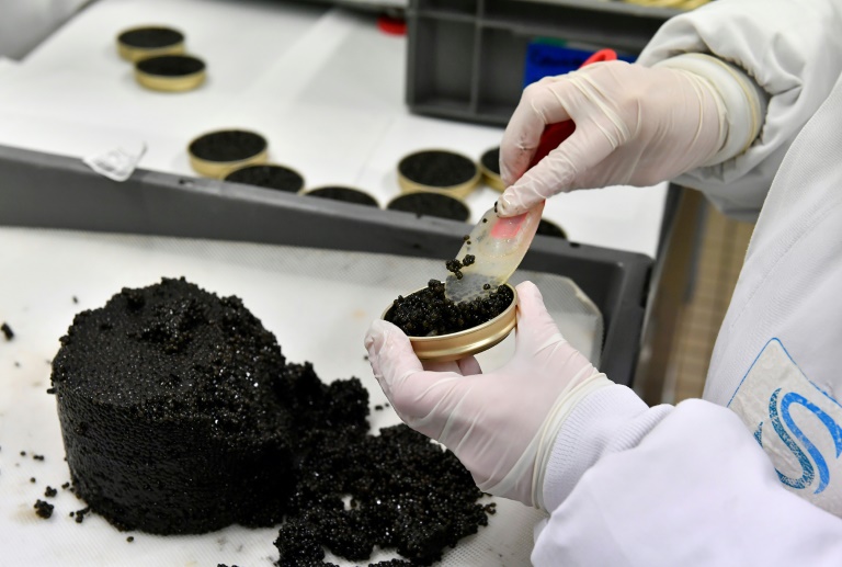  France bets on tech and transparency to beat Chinese caviar