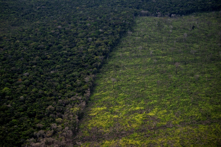  Developing nations demand more money at crunch UN biodiversity talks