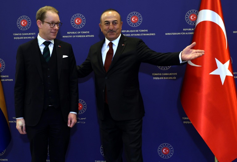  Turkey praises Sweden but says more needed for NATO membership