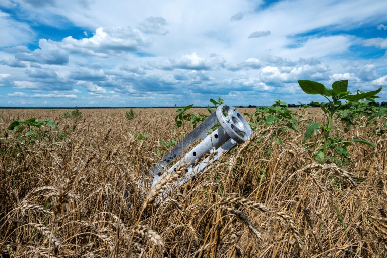  Ukraine estimates grain harvest fell around 40%