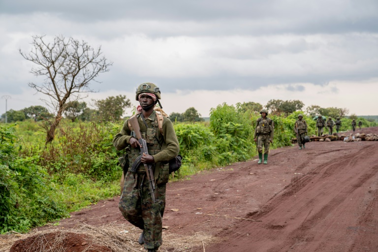  EU urges Rwanda to stop supporting M23 rebels in DR Congo