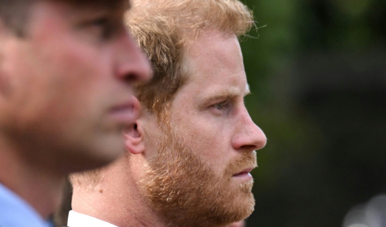  Prince Harry accuses brother William of 2019 physical attack