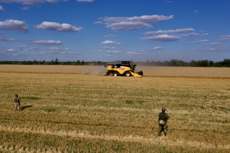  World food prices hit record high in 2022